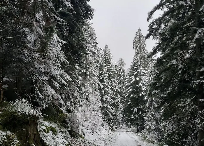 Apartmán Proche Gerardmer Granges-sur-Vologne